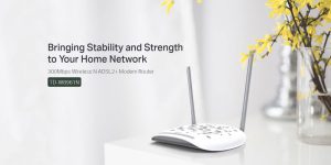 مودم تی TP-link W8961N در کنار گلدان